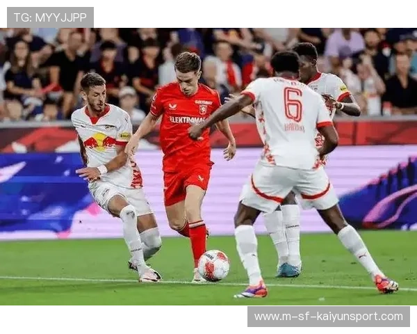 本菲卡目标锁定欧洲经验丰富的核心引援，夏窗或迎来两位先发人选