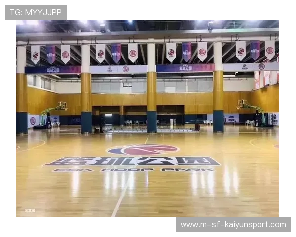 篮球运动在中国城市青年社群文化中的符号意义，篮球运动现状